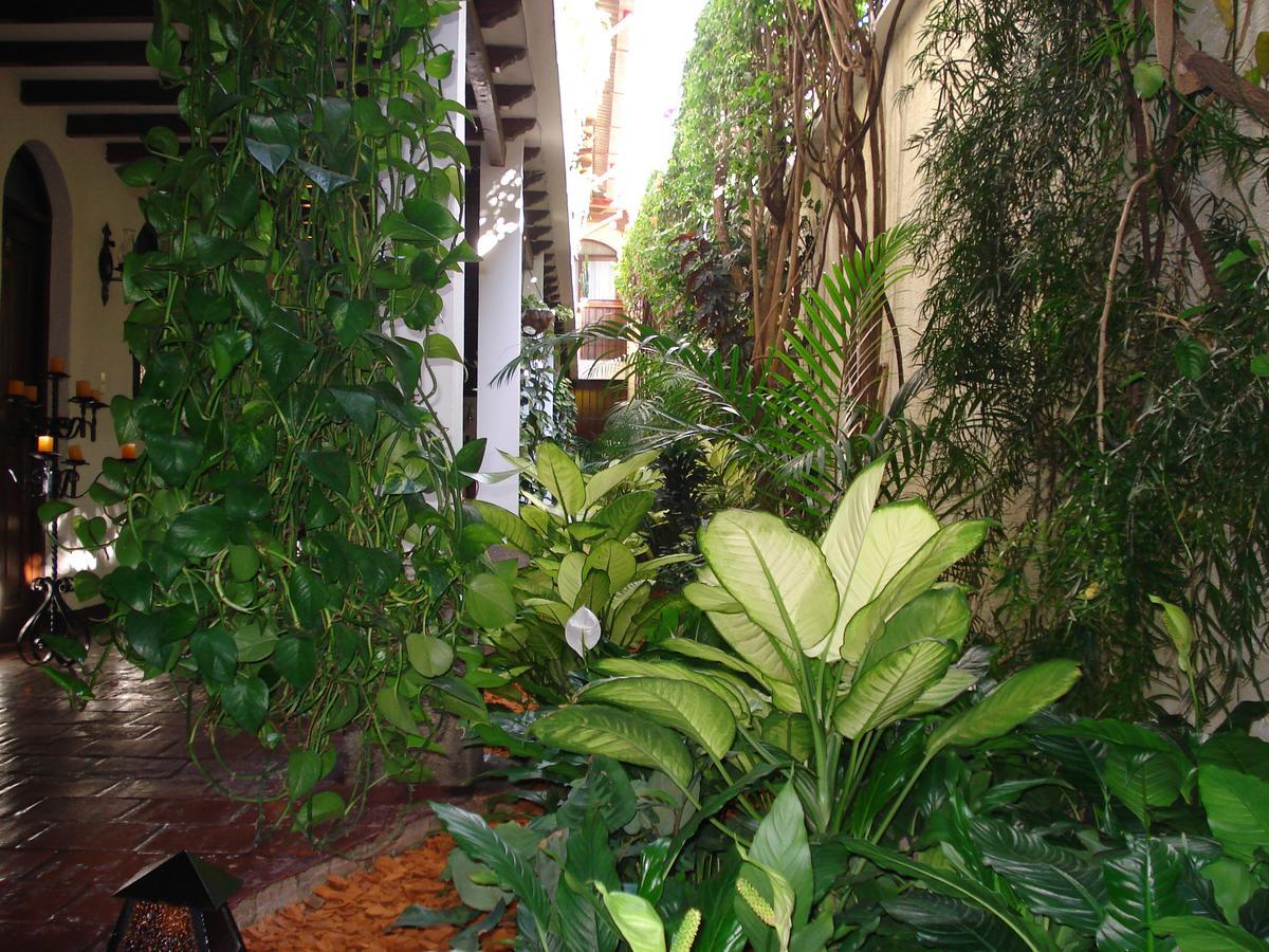 Casa Florencia Hotel 危地马拉安地瓜 外观 照片